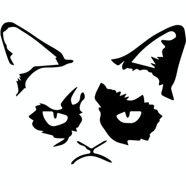 Grumpy Cat Face Thumbnail