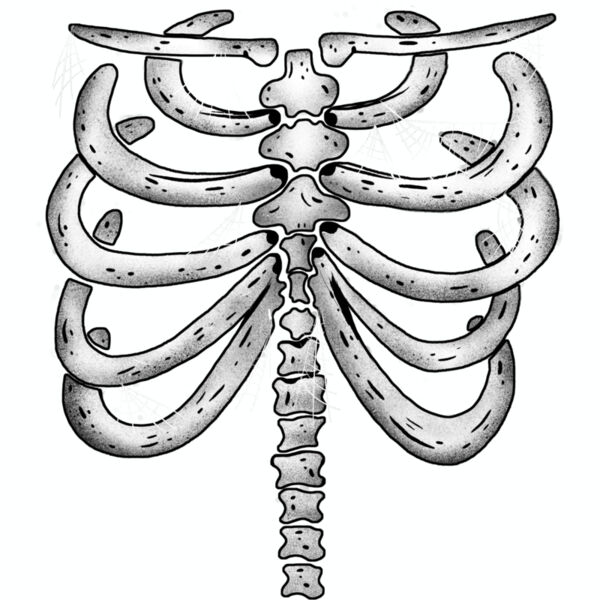 Skeleton Ribs Thumbnail