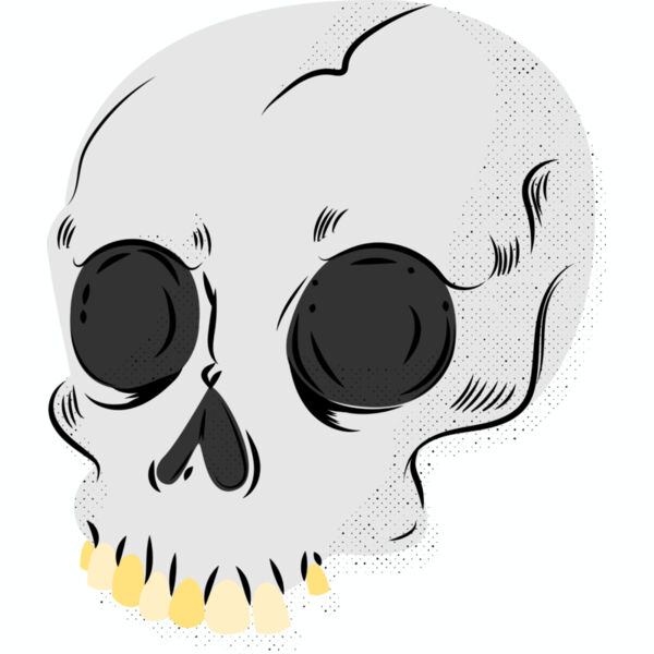 Skull Thumbnail