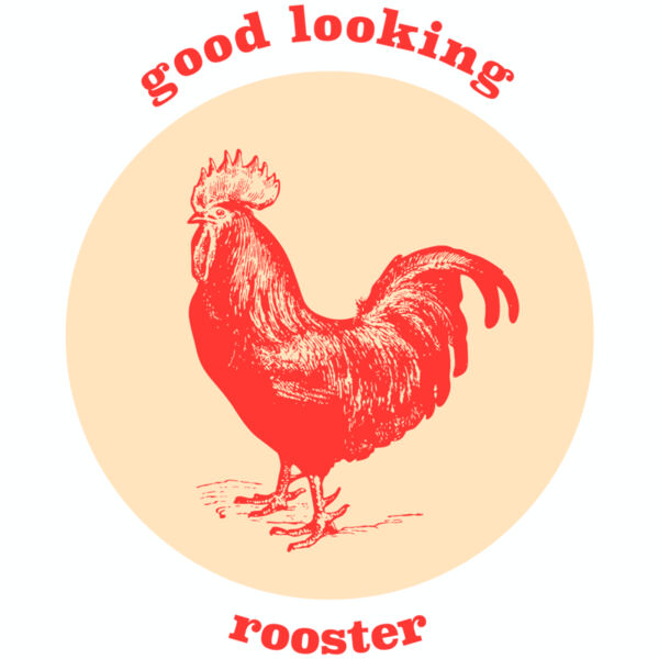 good looking rooster Thumbnail